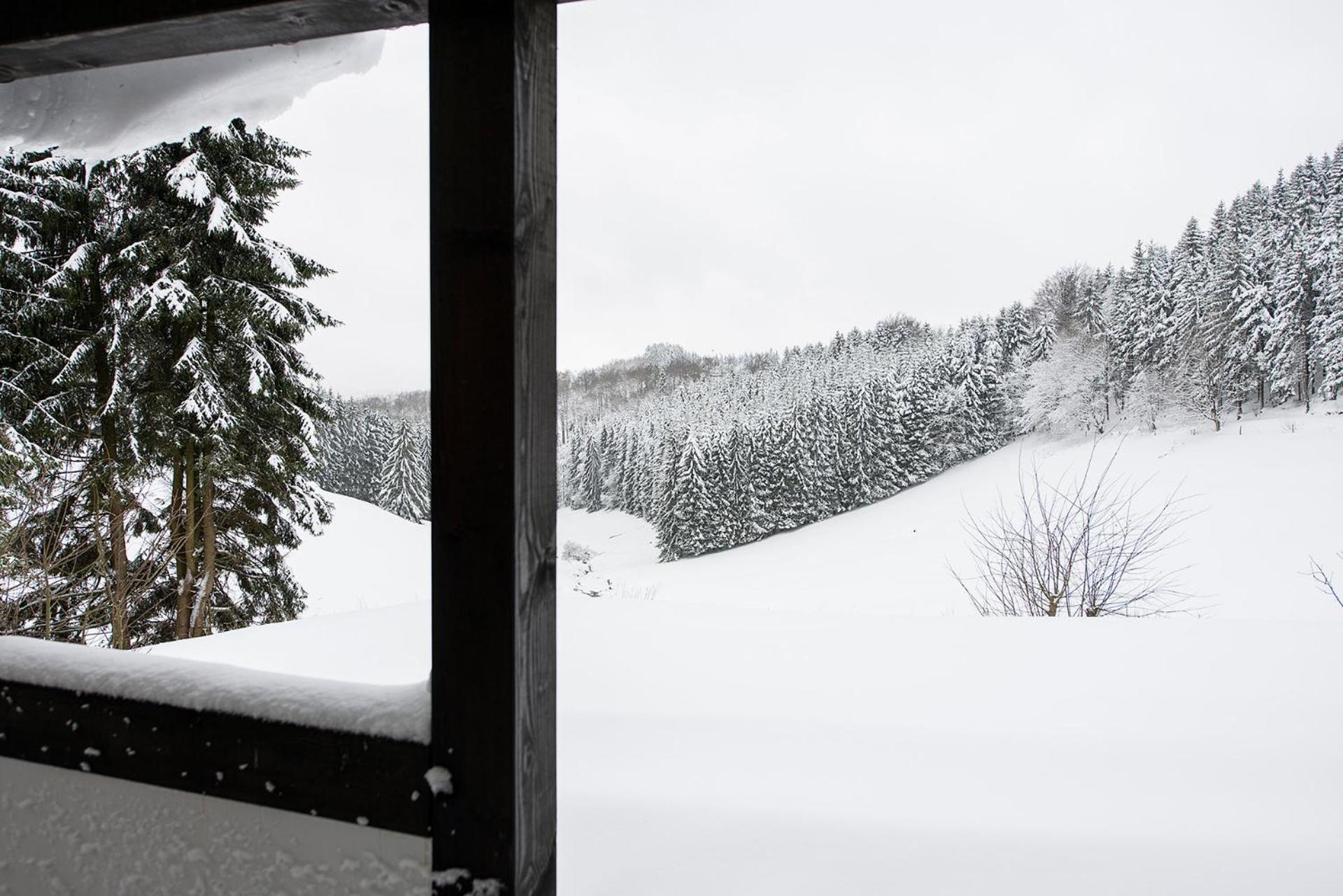 Romantikhütte Neuastenberg Winterberg Exterior foto